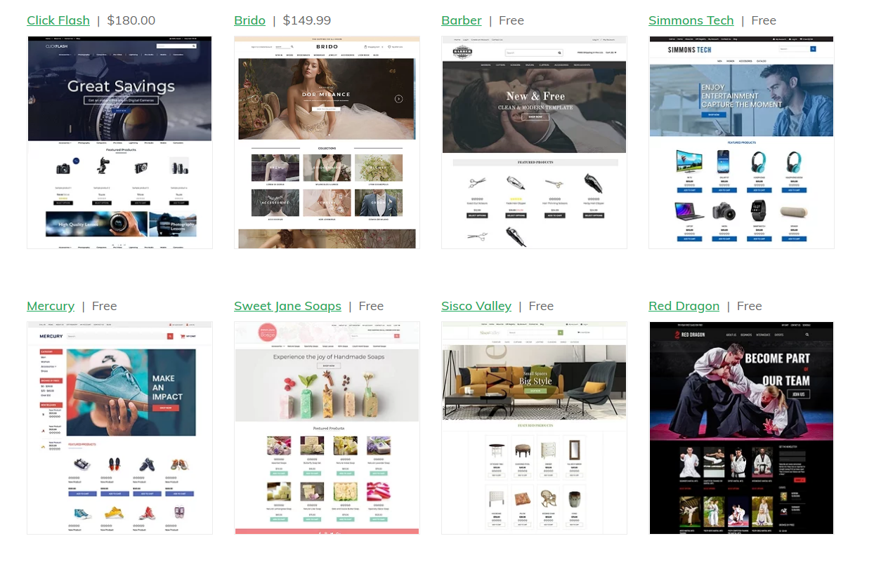 ecommerce website Theme examples